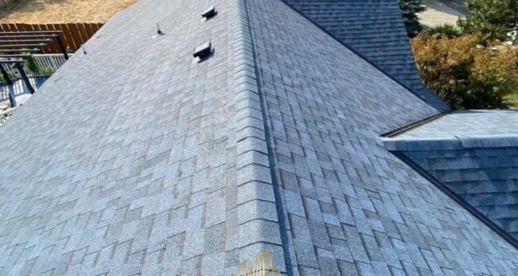 Stop the Drip: Expert Roof Leak Repair in New Jersey